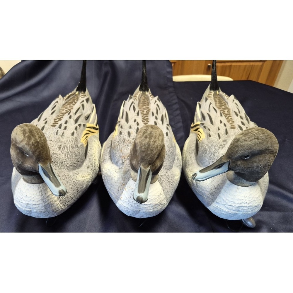 3 Dakota Decoy Northern Pintail Floater Duck Decoys‎